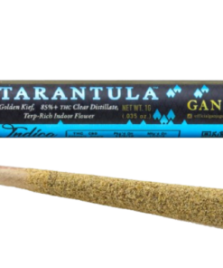 Ganja Gold/Blue Tarantula