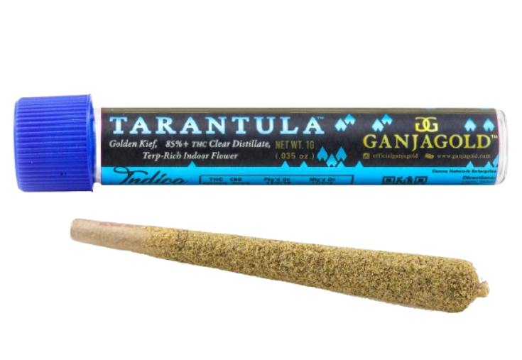 Ganja Gold/Blue Tarantula